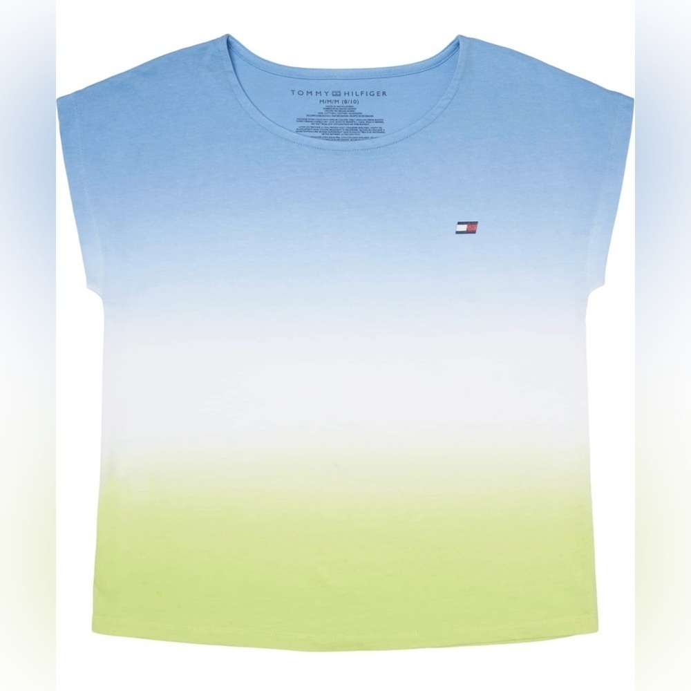 Tommy Hilfiger Blue and Lime Gradient Tee